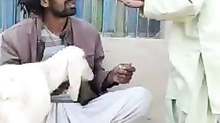 Dehati Loog Pyare Loog