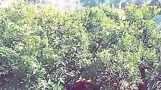 زندہ اباد پاکستان
