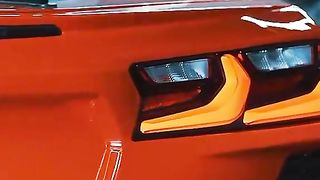 FOrza HOrizOn 5 COvette