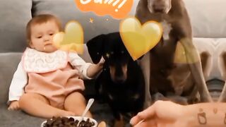 Heartwarming video