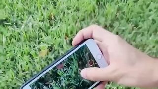 Риали
