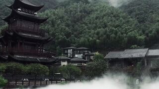 The Nature-Beautiful View