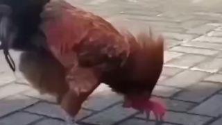 #funny