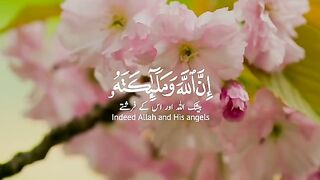 Beautiful Tilawt e Quran e pak