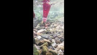 beauty underwater, beaut