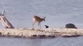 Awesome video ????