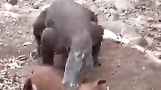 Awesome video ????
