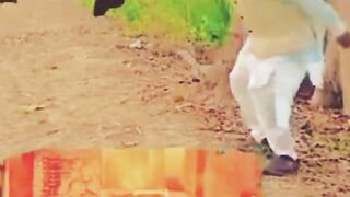 magic#shorts magicshorts#ytshorts
