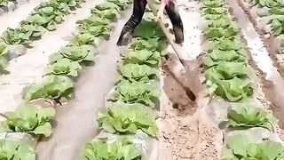 Agriculture Methods