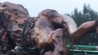 Patung Singa Raksasa