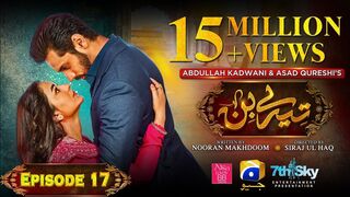 Tere Bin Ep 17 - [Eng Sub] - Digitally Presented by Nisa BB Cream - Yumna Zaidi - Wahaj Ali
