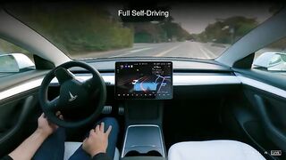 Tesla Self Driving VS Tesla Critic