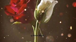 Romantic