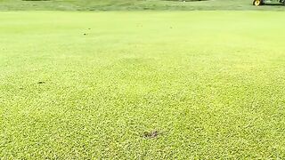 I could watch this all day