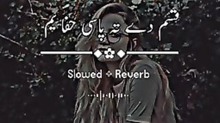 Pashto tapy