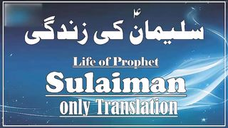 Hazrat Sulaiman As Story in Urdu  Life of Prophet Sulaiman As  Qasas ul Anbiya  IslamStudio