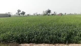 My village