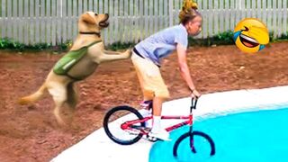 Funniest Animals Video - Best Cats and Dogs.Videos of 2023