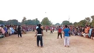 Wali balls