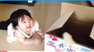 Funny cute ???? cat