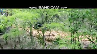 Pets or Animals Videos 24-2-2023-24