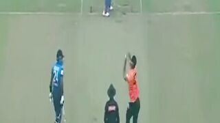 Cricket revenge