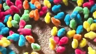 Amazing video