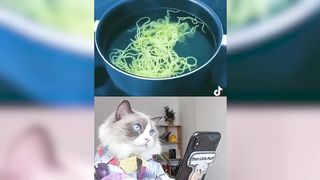Cats make food 2023 "That Little Puff" Tiktok Compilation