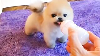 Amazing video