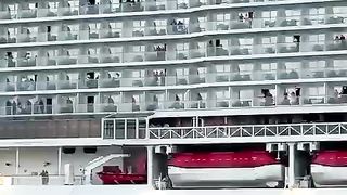 Cruise