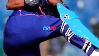 Cricket lover