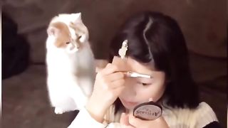 Funny cat and dogs viral video 2023