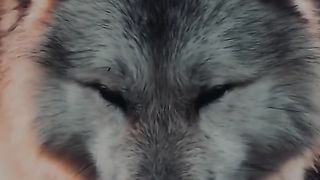 Mensagens motivacionais se escreva no canal e comenta que sigo vc de volta