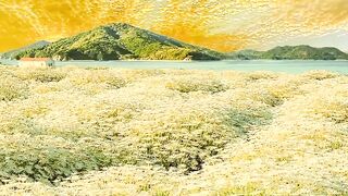 Natural beautiful video - Beautiful natural video