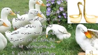 battakh aur battakha deno jhil ke kinare videos kahani books #YouTubestory #novels Urdu novels paks