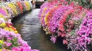 Beautiful moments.