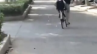 Collection of Cute Videos PART 11