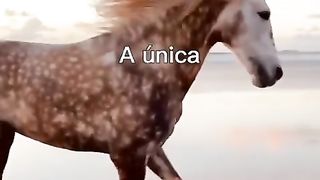 Mensagens motivacionais se escreva no canal e comenta que sigo vc de volta