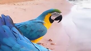Mensagens motivacionais se escreva no canal e comenta que sigo vc de volta