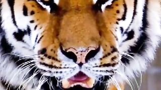 Mensagens motivacionais se escreva no canal e comenta que sigo vc de volta