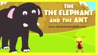 The Elephant and the Ant I Kids Story I AROUND THE KIDS I