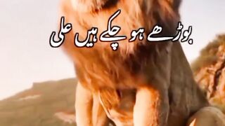 Hazrat Ali Says||Hazrat Ali Qoutes