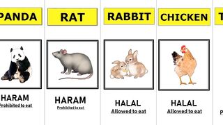 Halal and  Haram Animal Meat in Islam