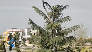 DHA Peshawar