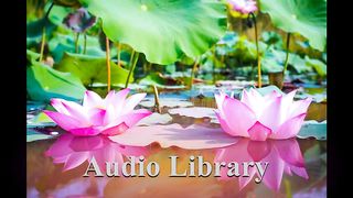 Lotus — Ason ID - Free Background Music - Audio Library