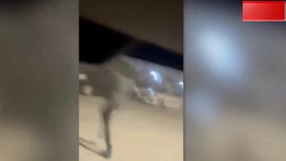 Wild Leopard Went six hour Rampage Pakistani capital of Islamabad