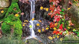 Relaxing water sounds | Relaxing music | Instrumental music | Meditation Music
