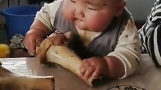 Anaconda#Baby