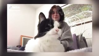 BEST DANK CAT MEMES COMPILATION OF 2020 PART 10 (from TikTok)
