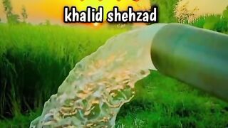 Punabi song kmal